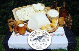 Agrofarma Dianiška Tisovec, výroba ovčích syrov a mliečnych výrobkov
